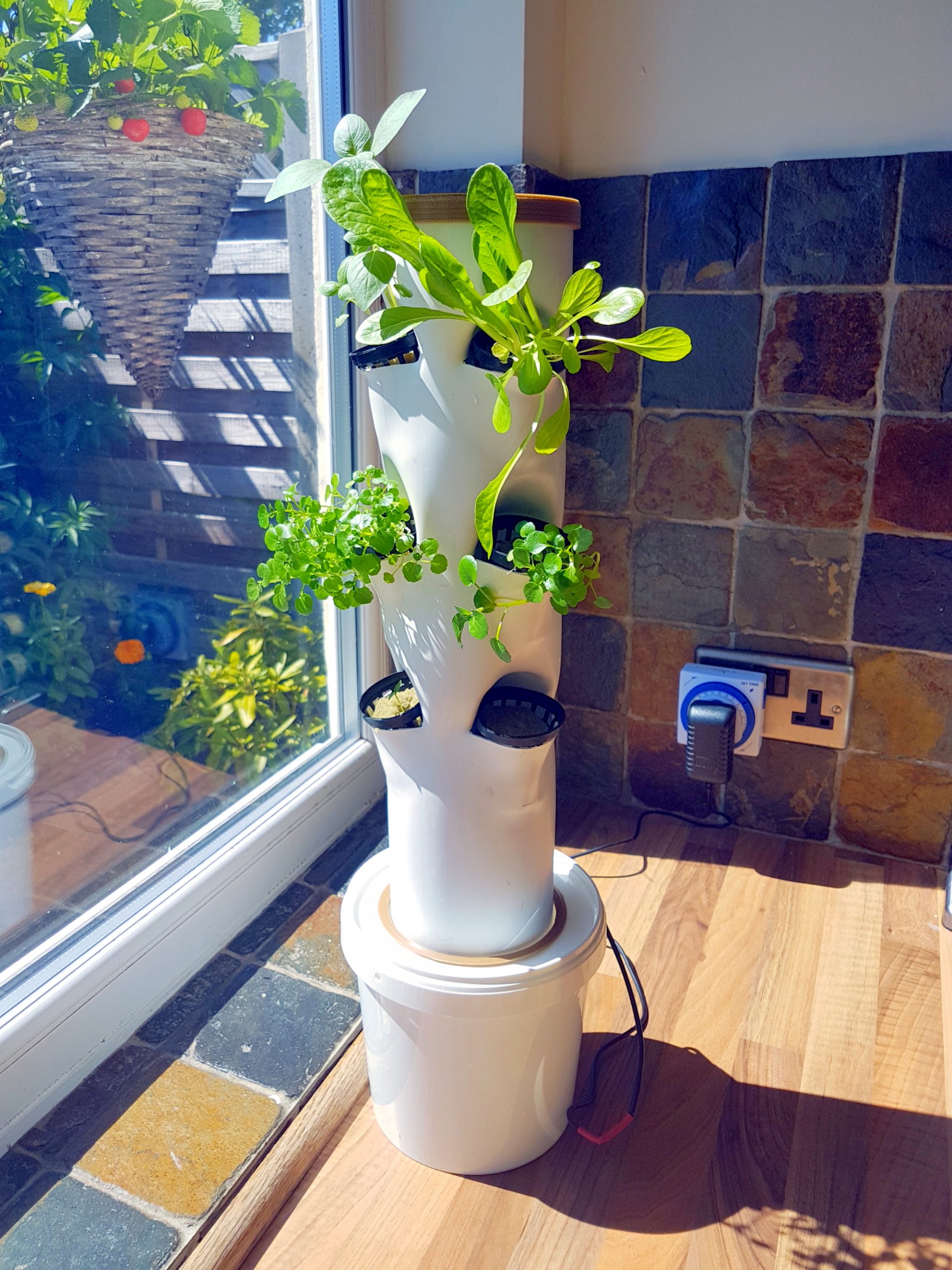 Indoor-vertical-hydroponic-herb-garden